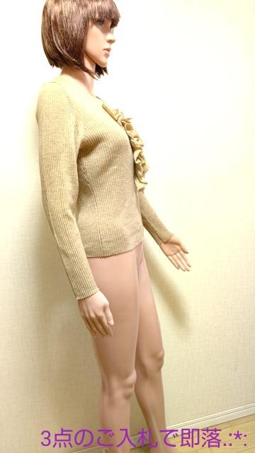 SCAPAӂAYȃujbgT1553_ő  t@bV 