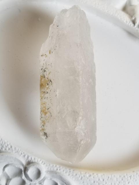 K[fNH[c57.1g  CeA/Ct 