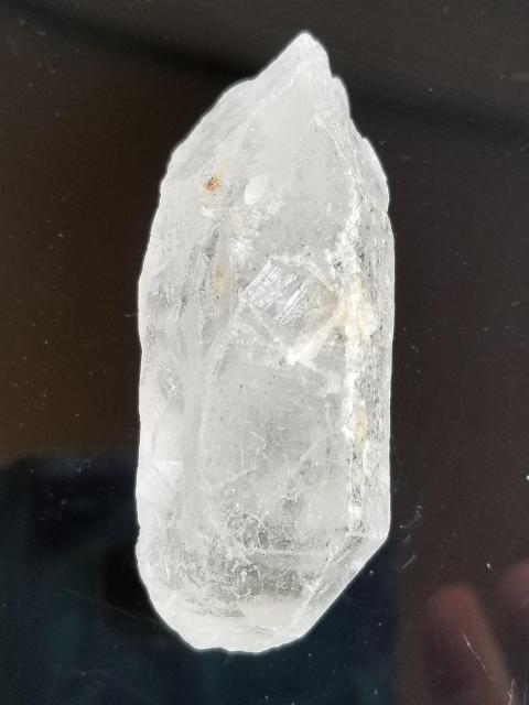 K[fNH[c57.1g  CeA/Ct 