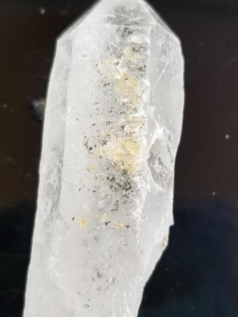 K[fNH[c57.1g  CeA/Ct 