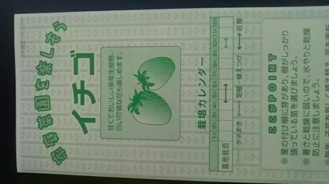 家庭菜園、イチゴ栽培方法冊子 < ペット/手芸/園芸  家庭菜園、イチゴ栽培方法冊子  < ペット/手芸/園芸の