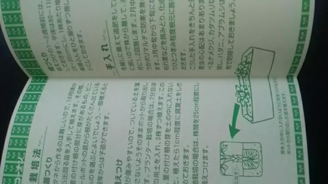 家庭菜園、イチゴ栽培方法冊子 < ペット/手芸/園芸  家庭菜園、イチゴ栽培方法冊子 < ペット/手芸/園芸の