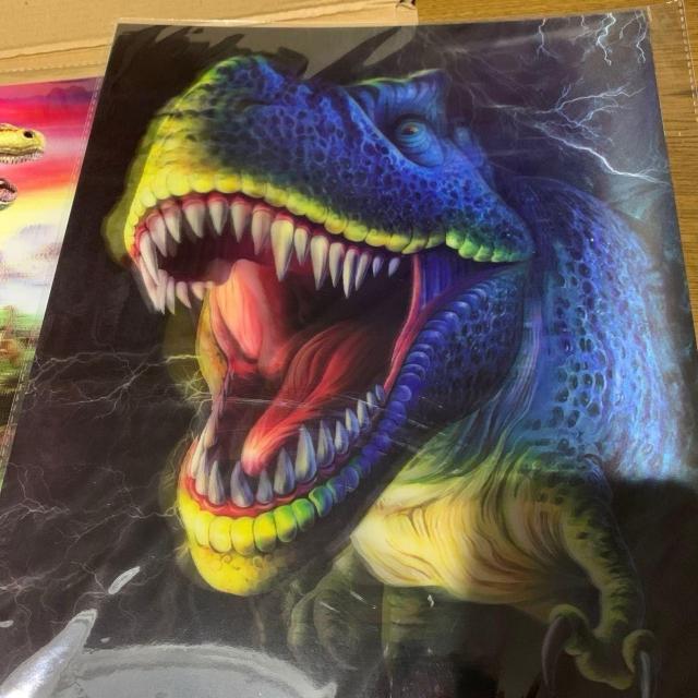 恐竜 大迫力!3Dアート パネル インクジェット フルカラー染料プリント !。 < ホビー  恐竜 大迫力!3Dアート パネル インクジェット フルカラー染料プリント !。 < ホビーの