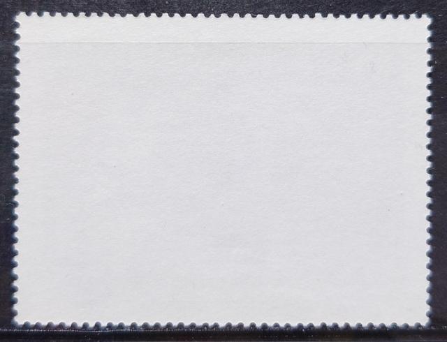 CO؎ gp؎ 1982N fBYj[ NX}X ^[NXEJCRX fBYj[f y~bL[̃NX}XLz  zr[ 