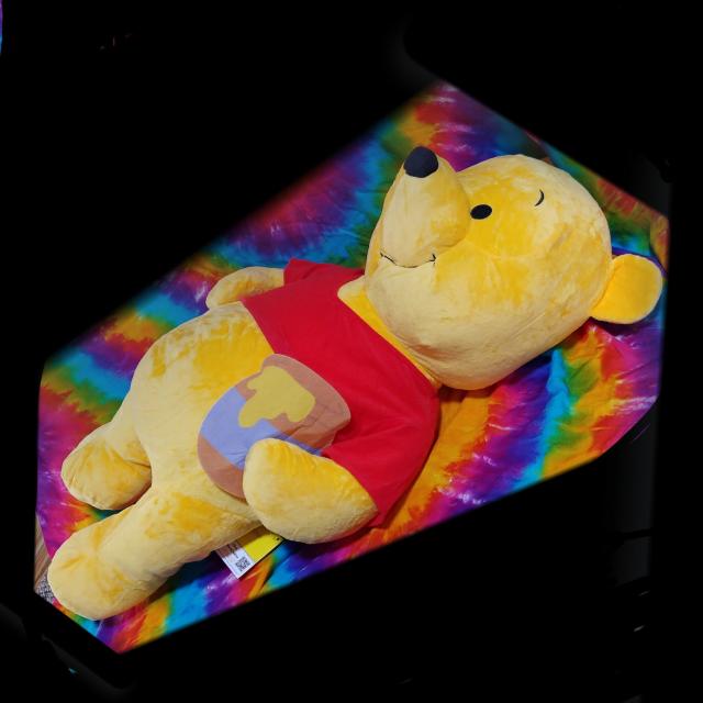 ܂̃v[( *L)܂ՂIQBIGDXʂ݁傫TCY   