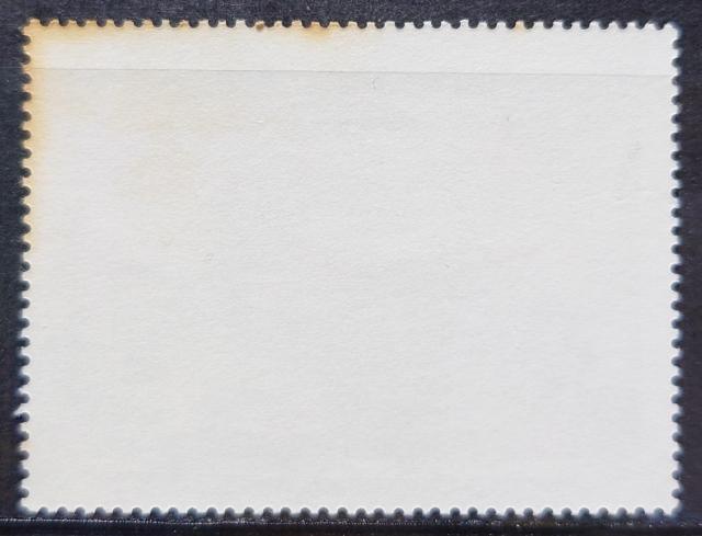 CO؎ gp؎ 1982N fBYj[ NX}X ^[NXEJCRX fBYj[f y~bL[̃NX}XLz  zr[ 