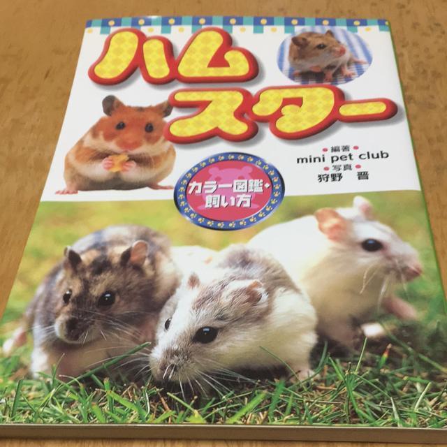 ハムスター カラー図鑑&飼い方 < ペット/手芸/園芸 ハムスター カラー図鑑&飼い方 < ペット/手芸/園芸の