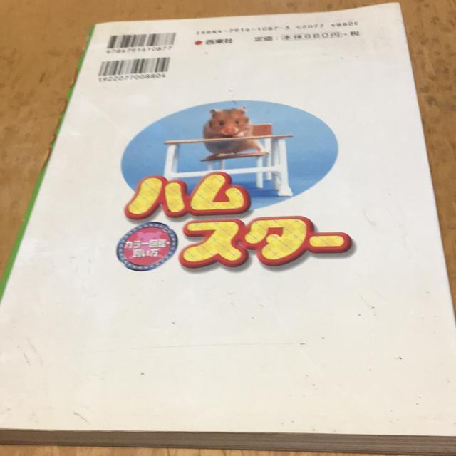 ハムスター カラー図鑑&飼い方 < ペット/手芸/園芸 ハムスター カラー図鑑&飼い方 < ペット/手芸/園芸の