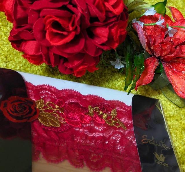 Wacoal/ワコール/salute/サルート/32G/花火/ガーターストッキング/OR/ZTJ232/旧パッケージ/レア品 < 女性ファッション Wacoal/ワコール/salute/サルート/32G/花火/ガーターストッキング/OR/ZTJ232/旧パッケージ/レア品 < 女性ファッションの