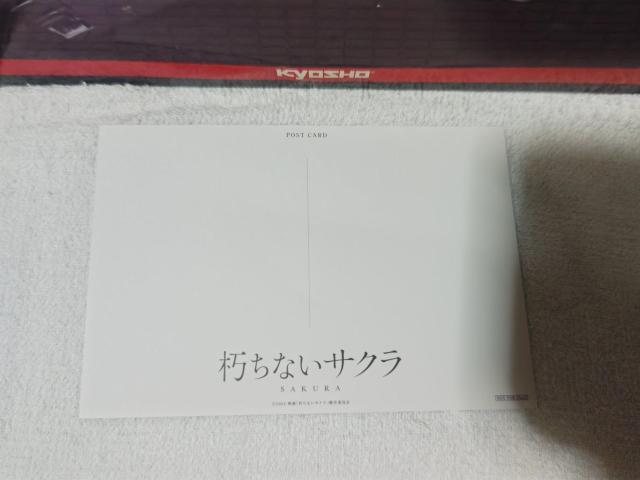 |XgJ[h  '24/6 f ȂTN    gp  zr[ 