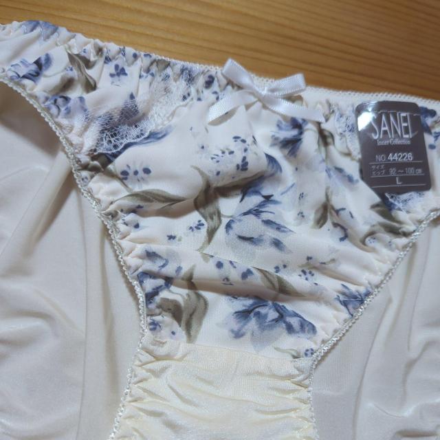 �V�i�ߗ� �N���[���F�ԕ�L