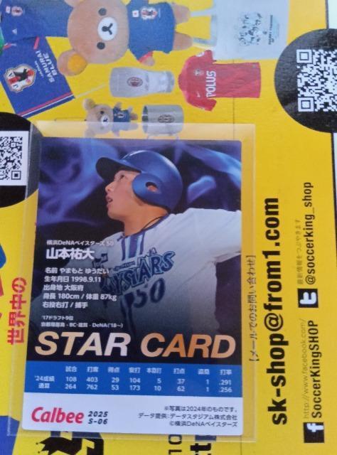 プロ野球チップスカード < トレーディングカード  プロ野球チップスカード < トレーディングカードの