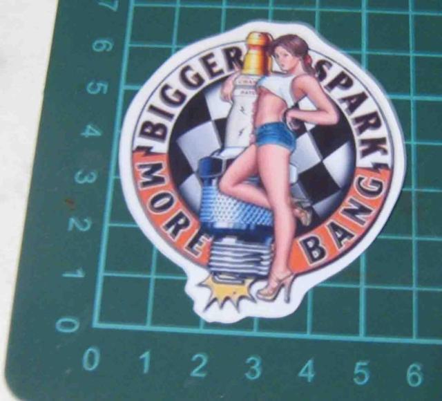 �X�p�[�N�v���O �@�X�e�b�J�[ �����@�s���i�b�v�@�C���X�g  �� �z�r�[�� 