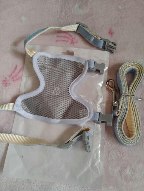 ペット用うさぎデザイン ハーネス&リードセット 水色 メッシュ素材 < ペット/手芸/園芸 ペット用うさぎデザイン ハーネス&リードセット 水色 メッシュ素材 < ペット/手芸/園芸の