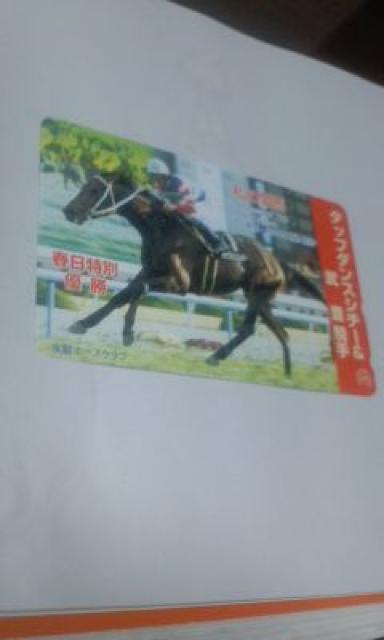 ◆JRA/タップダンスシチー50度テレカ < ホビー  ◆JRA/タップダンスシチー50度テレカ < ホビーの