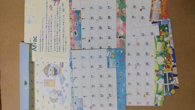 �k2023�N�l�A�t���b�N ���J�����_�[�@���� �� �z�r�[�� 