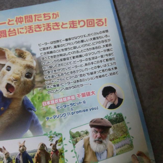 映画DVD★『ピーターラビット』★レンタル落ち < CD/DVD/ビデオ  映画DVD★『ピーターラビット』★レンタル落ち < CD/DVD/ビデオの