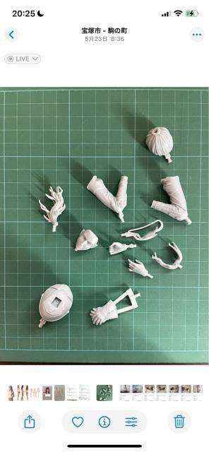 1/9 �������f���@���W�����@���[�T�[�K�[�����h���E�g���� �� �z�r�[�� 