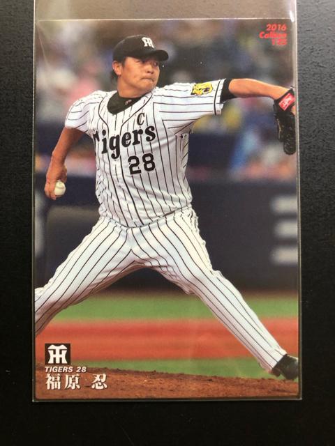 QOPUJr[싅2e/_^CK[XmM[J|hRv[g6n  g[fBOJ[h 