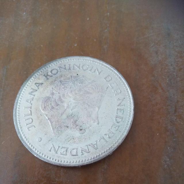 �R�C������_ �� �j���A�N�Z�T���[/���v�� 