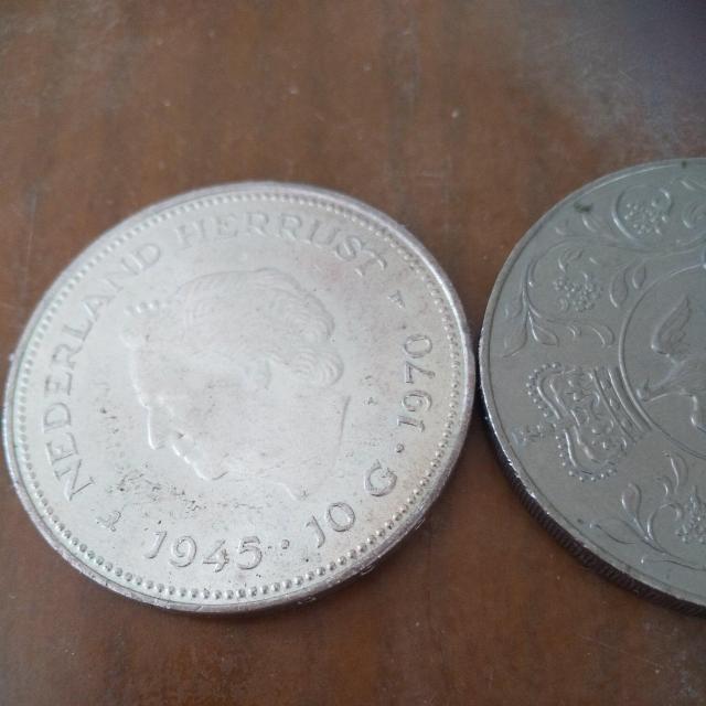 �R�C������_ �� �j���A�N�Z�T���[/���v�� 