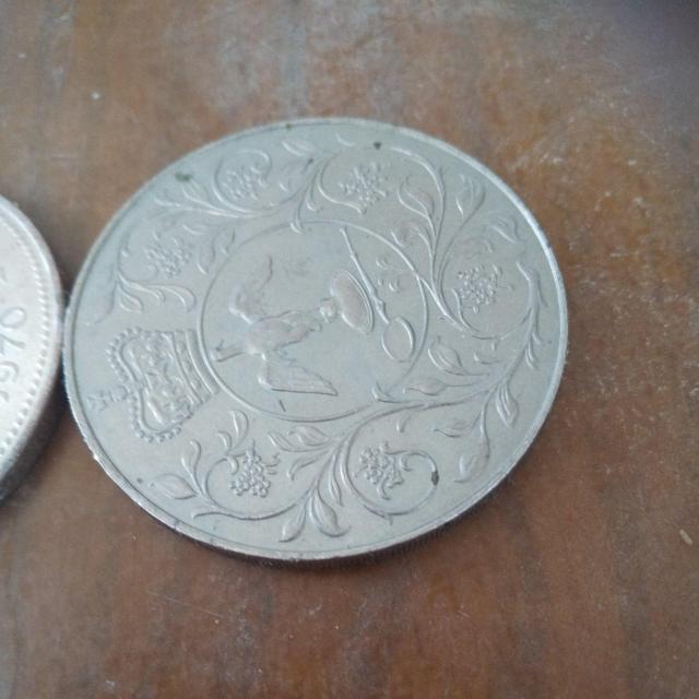 �R�C������_ �� �j���A�N�Z�T���[/���v�� 