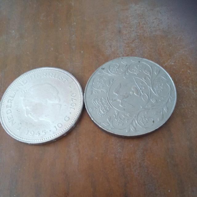 �R�C������_ �� �j���A�N�Z�T���[/���v�� 