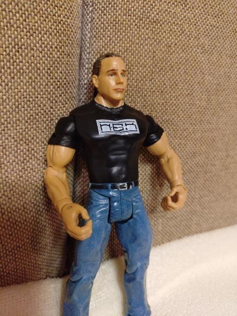 �J���@WWE �V���[���E�}�C�P���Y�@HBK �� �z�r�[�� 