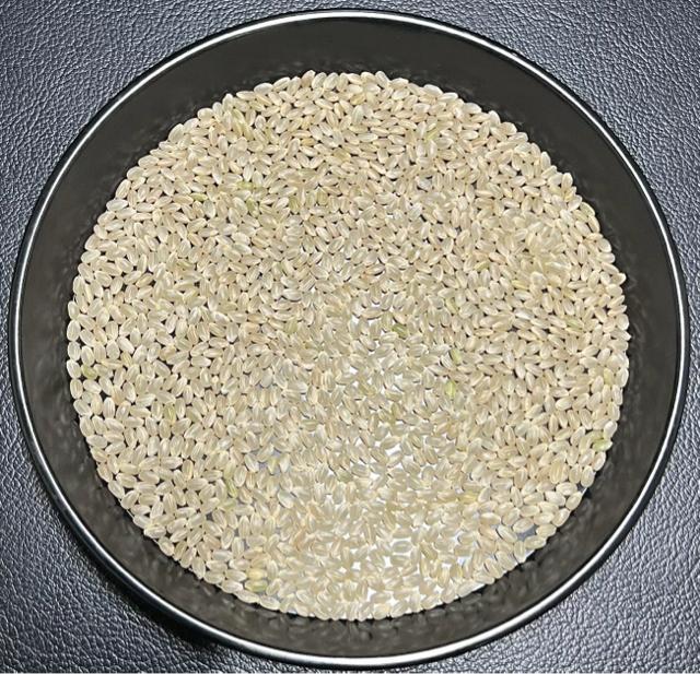 数量限定 送料無料 玄米 30kg 令和7年産 京都 丹後 米 コシヒカリ