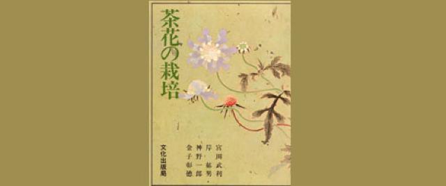 ★古本27★茶花の栽培☆ < 本/雑誌  ★古本27★茶花の栽培☆  < 本/雑誌の