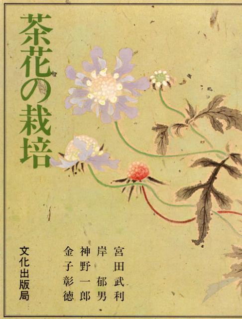 ★古本27★茶花の栽培☆ < 本/雑誌  ★古本27★茶花の栽培☆ < 本/雑誌の