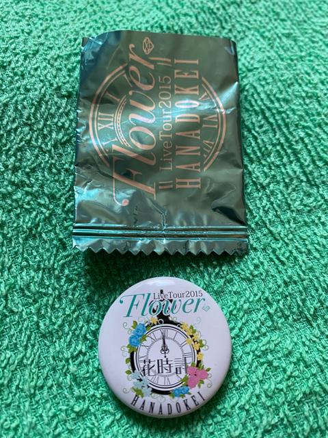 Flower?ԎvCucA[?~jʃob`   ^gObY 