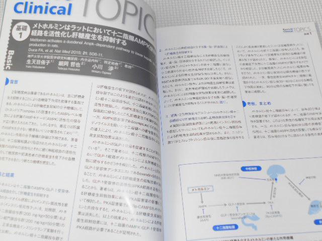 雑誌 DIABETES UPDATE 2015 10 vol.4 No.4 < 本/雑誌  雑誌 DIABETES UPDATE 2015 10 vol.4 No.4 < 本/雑誌の