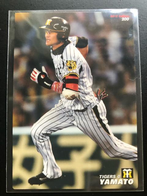 �Q�O�P�Q�J���r�[�싅��R�e/�m�n-�Q�O�O�E��_�^�C�K�[�X�E��a  �� �g���[�f�B���O�J�[�h�� 