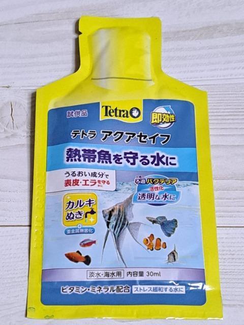 送料込み★テトラアクアセイフ★熱帯魚を守る水に★カルキ抜き < ペット/手芸/園芸  送料込み★テトラアクアセイフ★熱帯魚を守る水に★カルキ抜き  < ペット/手芸/園芸の