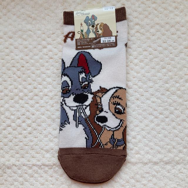 Vi fBYj[ 񕨌 fB gv V[g \bNX C  N2m  t@bV 