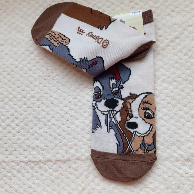 Vi fBYj[ 񕨌 fB gv V[g \bNX C  N2m  t@bV 