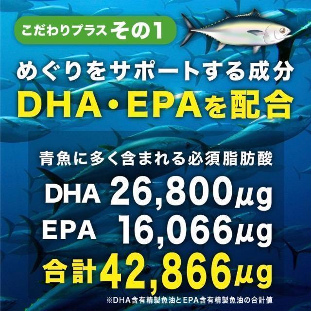 イチョウ葉エキス サプリメント 約1ヵ月分 DHA EPA配合 健康食品 < グルメ/ドリンク イチョウ葉エキス サプリメント 約1ヵ月分 DHA EPA配合 健康食品 < グルメ/ドリンクの