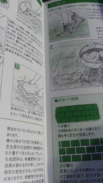 ガーデニング、芝の張り方と手入れ冊子 < ペット/手芸/園芸  ガーデニング、芝の張り方と手入れ冊子 < ペット/手芸/園芸の