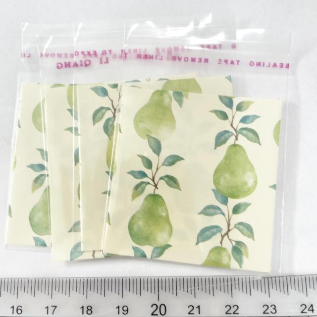 �����䎆�����OPP�܁@4���@2  �� �C���e���A/���C�t�� 