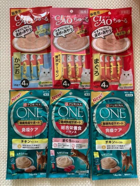 6�_�Z�b�g CIAO �`���I ����`�� ���� �T�[���� �s�����i���� ���N�Ɖu�T�|�[�g �`�L�� �܂��� 2026.9�����ȍ~  �� �y�b�g/��|/���|�� 