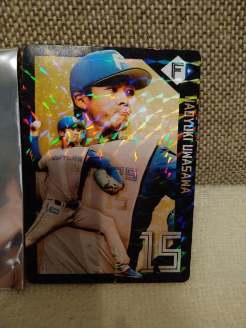 gp@kCIn~قƂƌŁIt@C^[Yٓ@򒼔V@LJ[h  W[/X|[c 