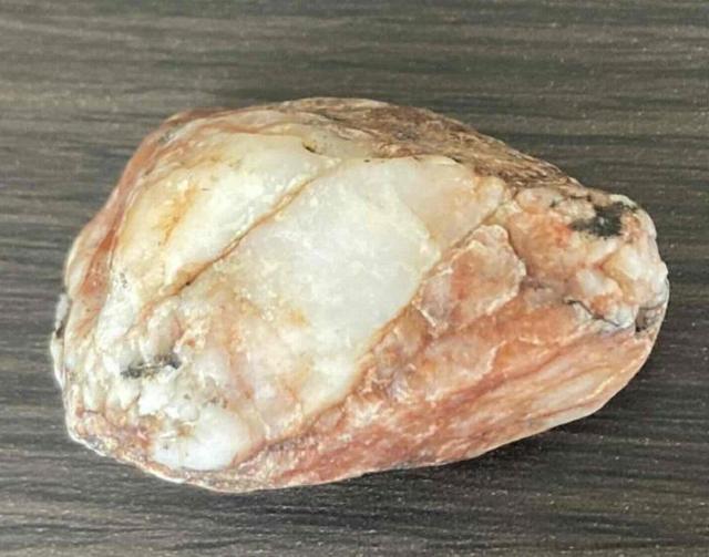 2,000~X^[gIuC[ƁvuWG[Ɓv̑fނɈgM΁iIWJ[lAj  t@bV 