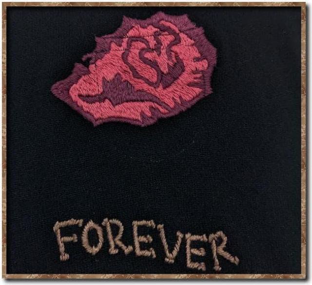 �h�J����J�V�~��100%�j�b�g�@�� �� �����t�@�b�V������ 