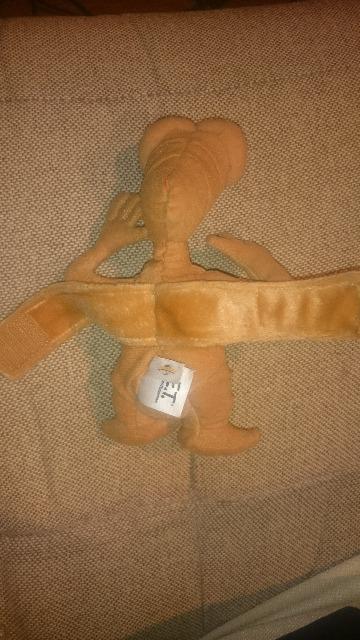 J USJIE.T.}XRbgIXgoh  zr[ 