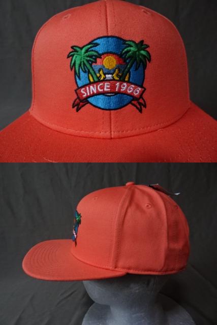 USAw AJW VANS 썑[ꃄV̖؃CXghJCAP  jt@bV 