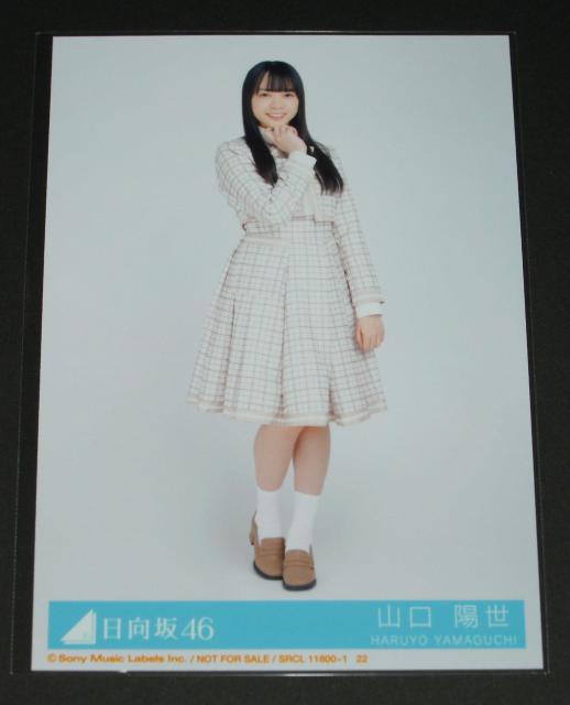 46@N@ʐ^P@Rz   ^gObY 