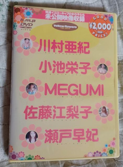 ☆イエローフラワーズ☆イエローキャブ2003☆小池栄子 < タレントグッズ  ☆イエローフラワーズ☆イエローキャブ2003☆小池栄子  < タレントグッズの