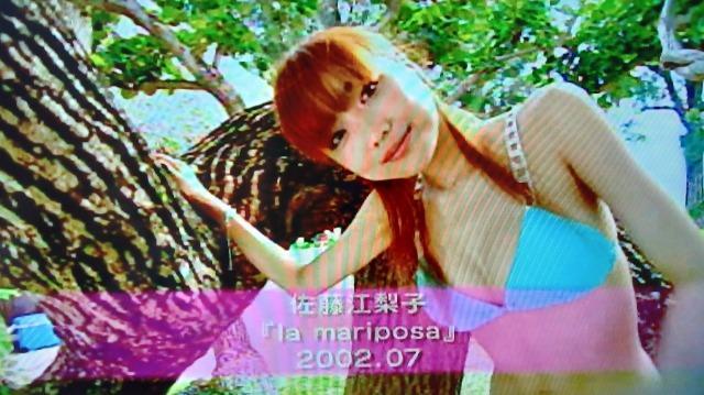 ☆イエローフラワーズ☆イエローキャブ2003☆小池栄子 < タレントグッズ  ☆イエローフラワーズ☆イエローキャブ2003☆小池栄子 < タレントグッズの