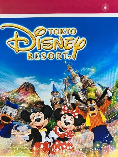 �^�C�A�b�v���f�B�Y�j�[���]�[�g�p�[�N�y�A�`�P�b�g/40�g80���l1�� 